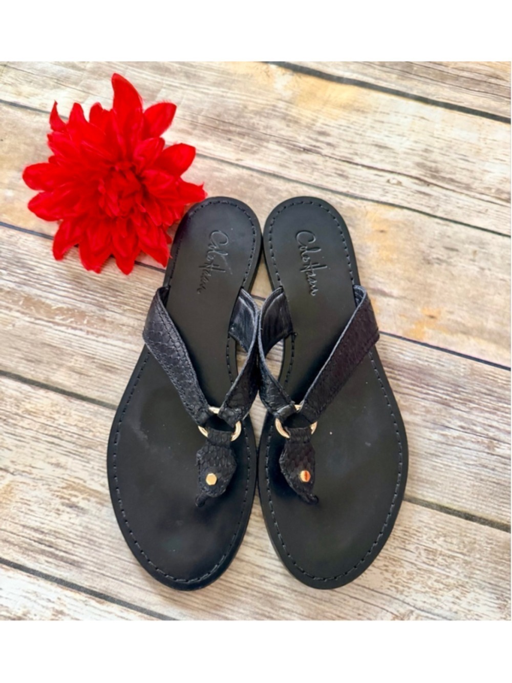Cole Hann Leather Flip Flops-10.5